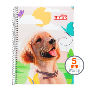 CUADERNO ESPIRAL DISEÑO TAMAÑO 1/2 OFICIO 100 HJS C/CORRIENTE LIDER